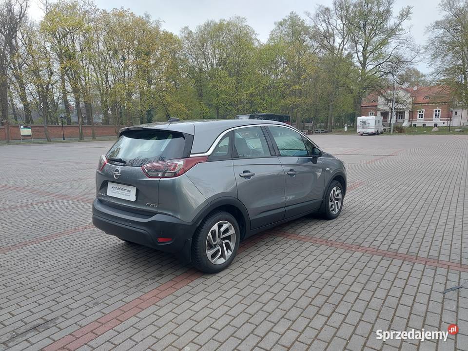 Opel 2017 Gołuchów