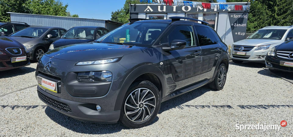 Citroen C4 Cactus SalonPl12 benz bluetooth