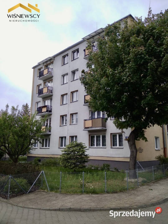 mieszkanie 2 pok 3759 mkw Elbląg Kopernika