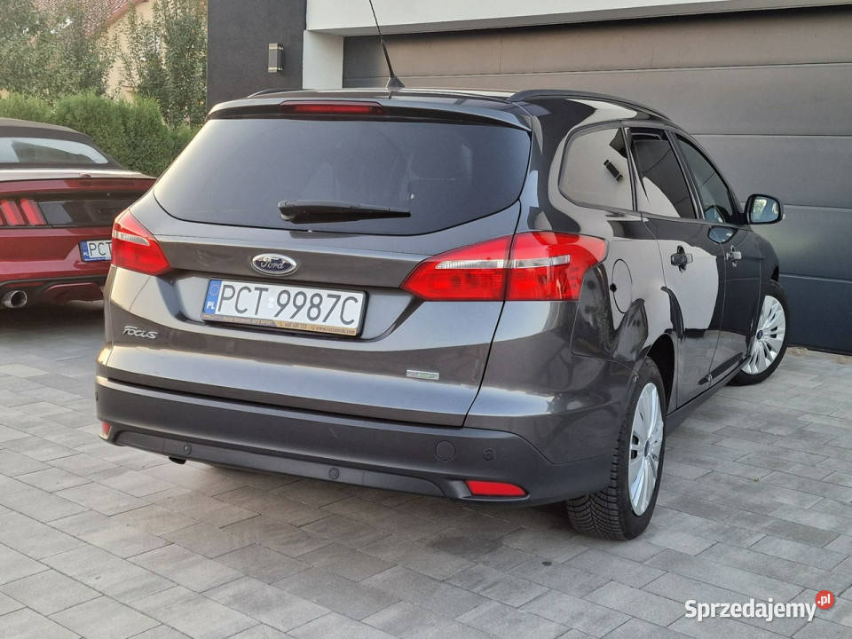 Ford Focus BEZWYPADKOWY duża nawi SYNC nowy Czarnków