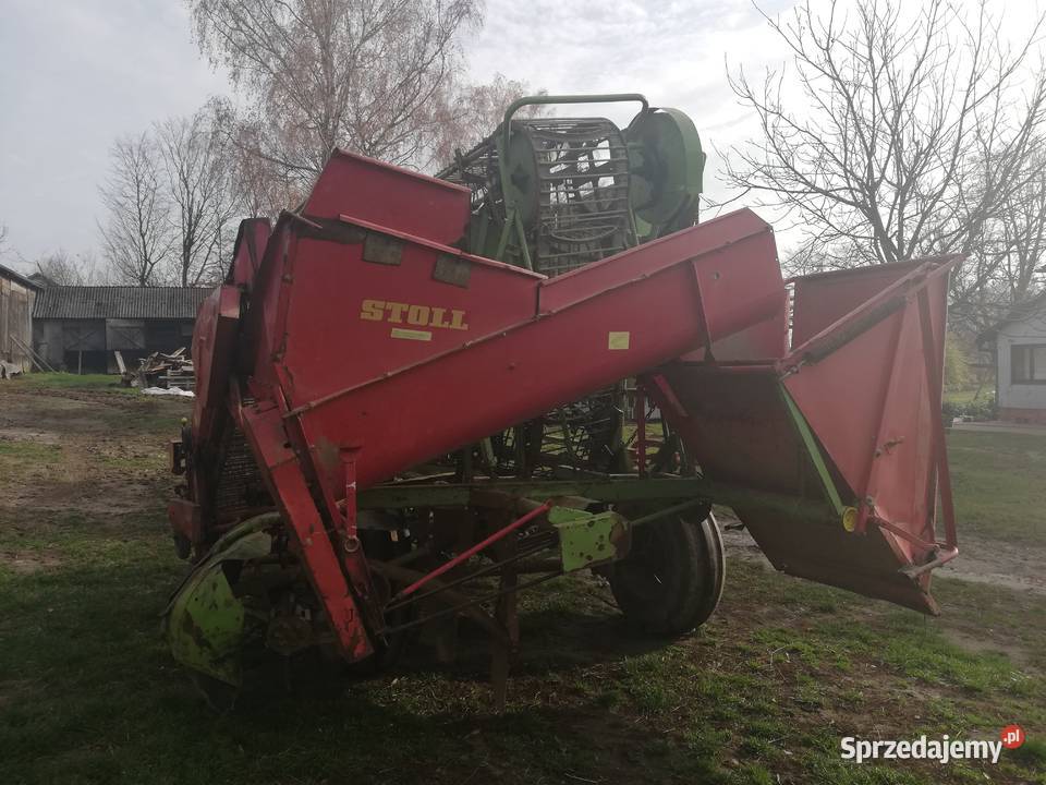 STOLL V50 Kombajn do buraków Suche Lipie
