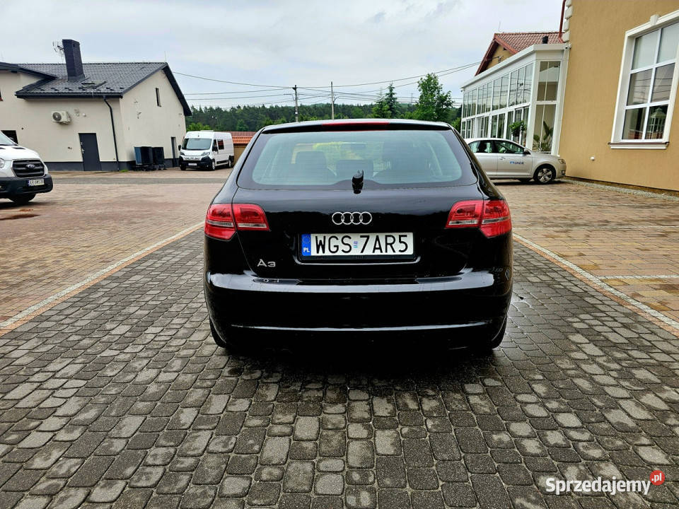 Audi A3 Sportback Lift 19 TDI DSG 5 Drzwi Serwis ESP Zagnańsk