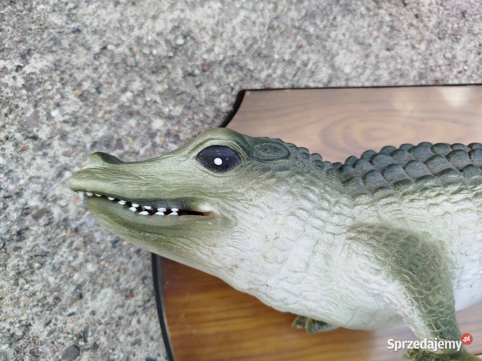 Interaktywny aligator Alex Alligator figurka Zabawki Opole