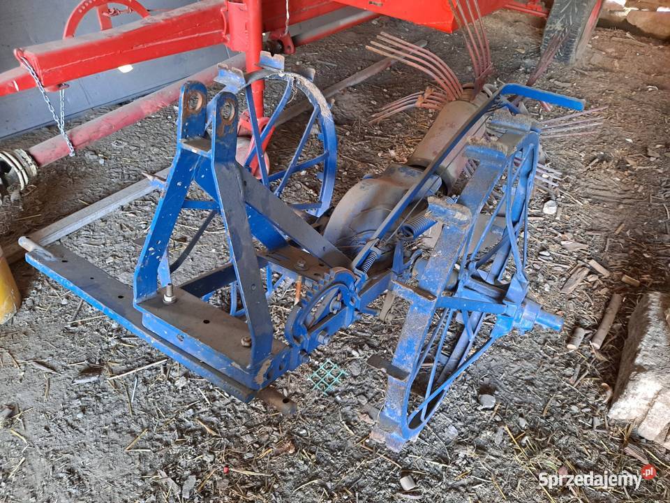 kopaczka konna Brzeźnica Bychawska-Kolonia