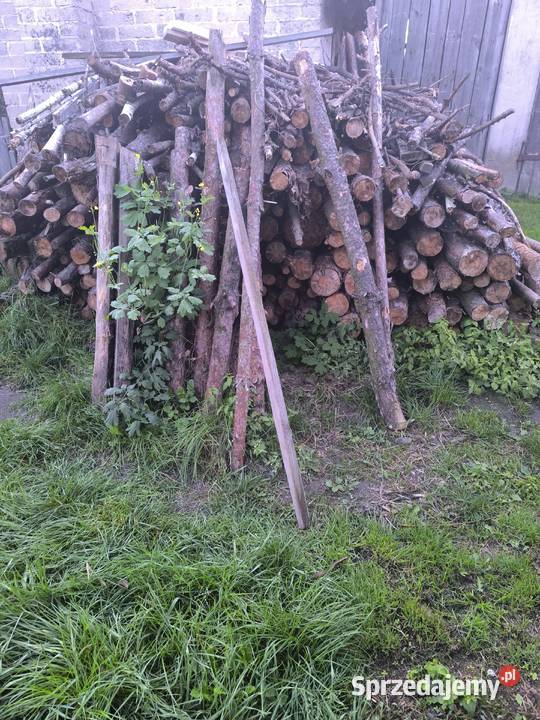 Drewno opałowe Zawieprzyce