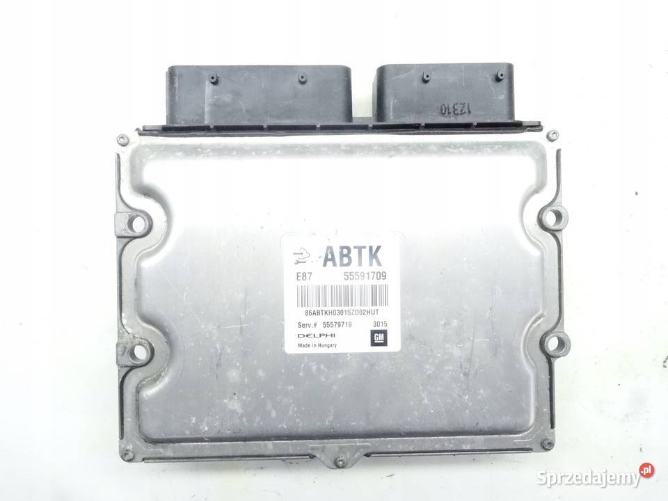 OPEL CORSA MERIVA STEROWNIK SILNIKA 55582625 Przemęt