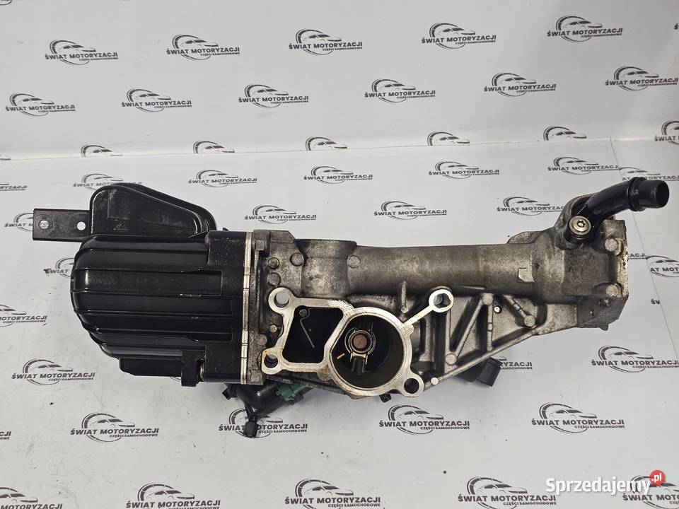 ASTRA INSIGNIA ZAFIRA 20 CDTI A20DTH 160 świętokrzyskie