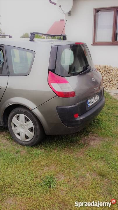 tania renowka Jeżowe