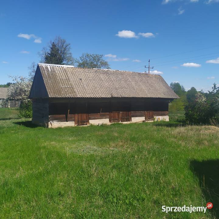 Malownicze siedlisko z domem w gminie Narew siatka Sprzedaż Gradoczno sprzedam