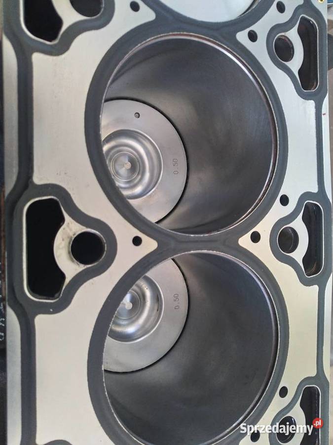Blok silnika Hyundai Santa fe D4EB 22 crdi osobowe Lubaczów