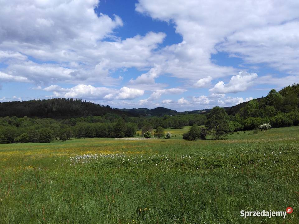Działka z decyzją o war zabudowy Czarnej Góry Idzików