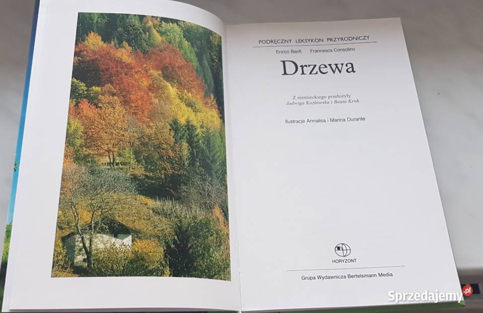 Drzewa podręczny leksykon przyrodniczy przyroda, krajobrazy Zielona Góra sprzedam