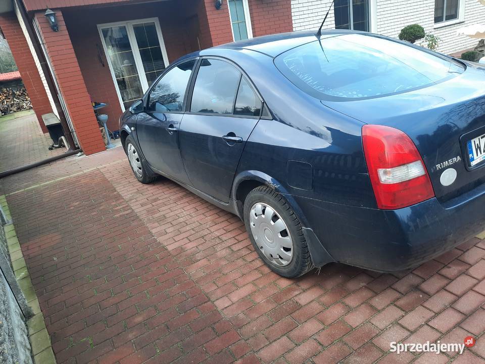 Nissan Primera p12 Primera Primera Osiny