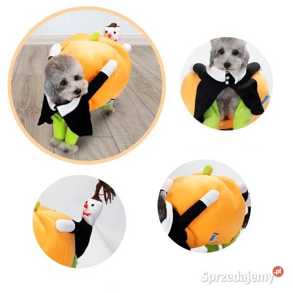 Strój ubranko dynia Halloween psa przebranie dolnośląskie Bolesławiec