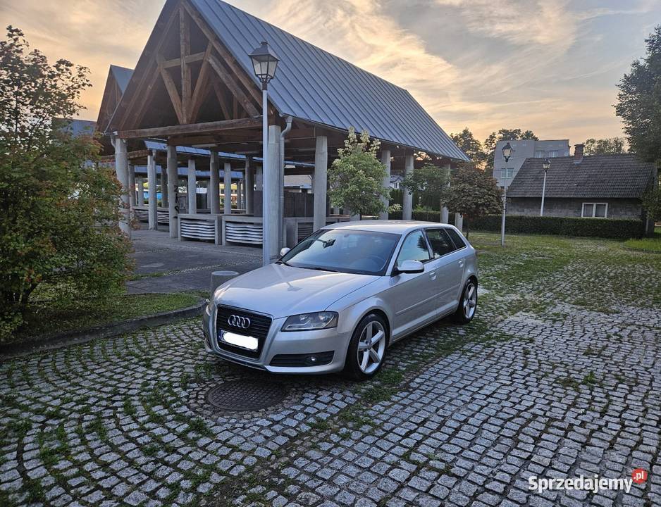 Audi A3 Sportback 2010r 20Tdi Navi Alu 18 Super 4/5 Ryglice
