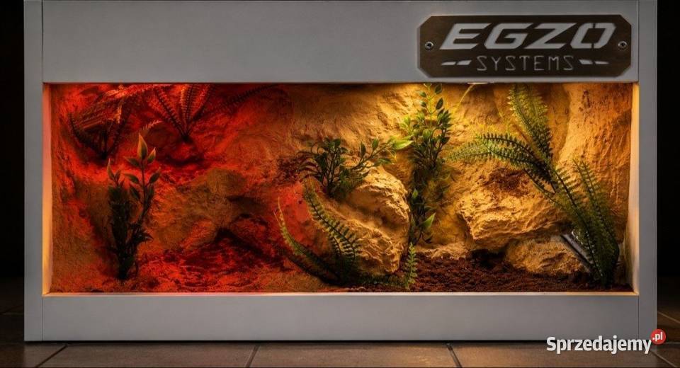 Terrarium hodowlane żółwia greckiego agamy Terrarystyka Zielona Góra sprzedam