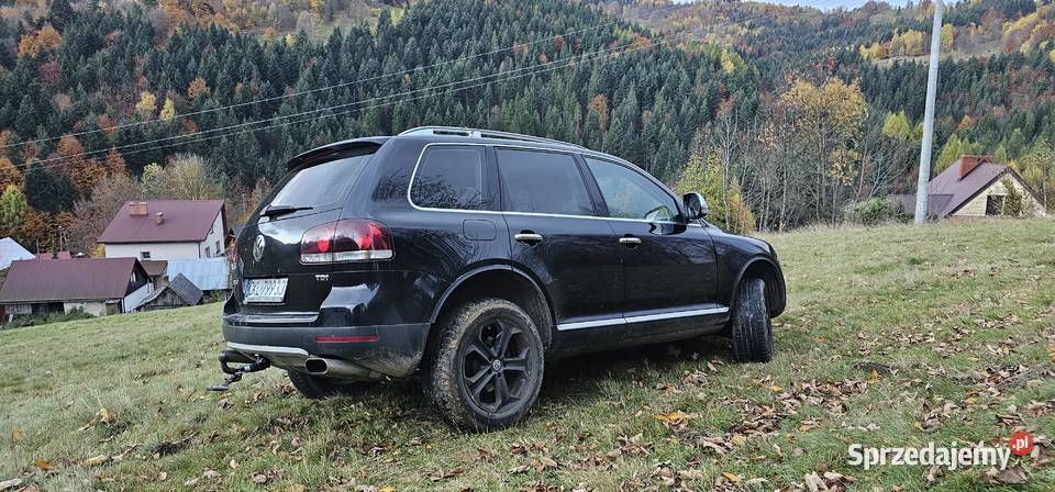 Touareg spotkaniu z sarną śląskie