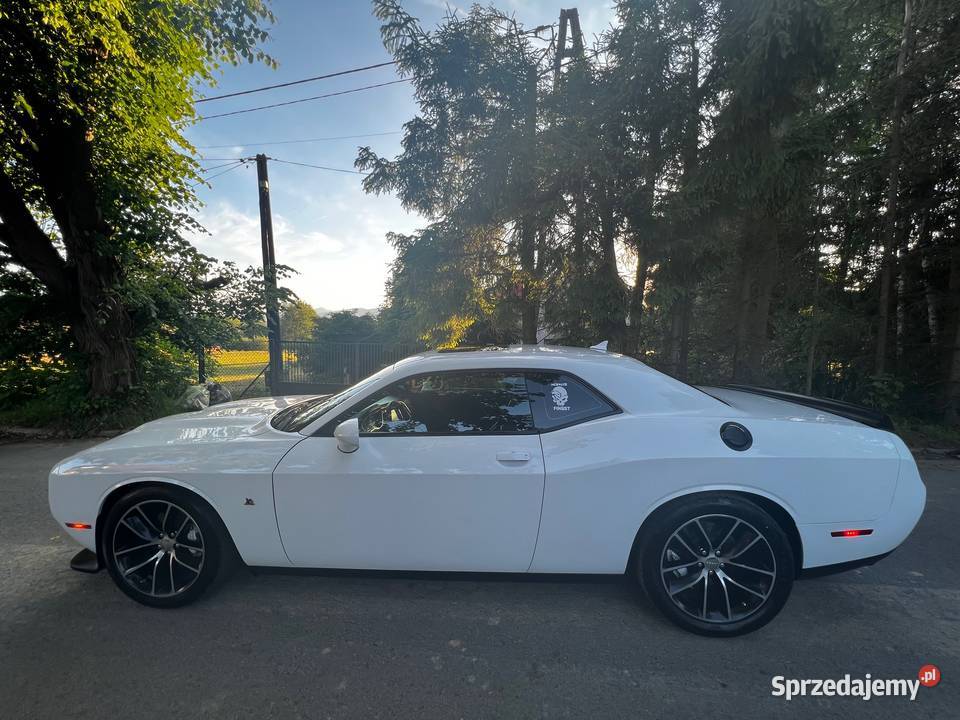 Dodge Challenger 64