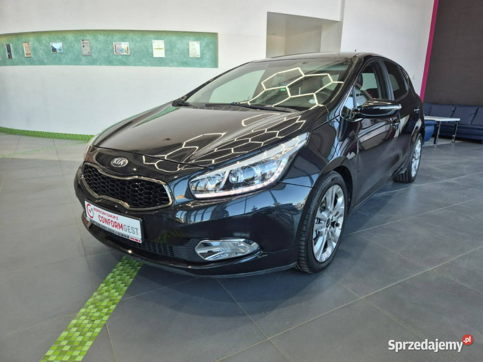 Kia Ceed Kia Ceed 16 CRDi 128 Platinum Edition serwisowany w ASO Łaziska Górne