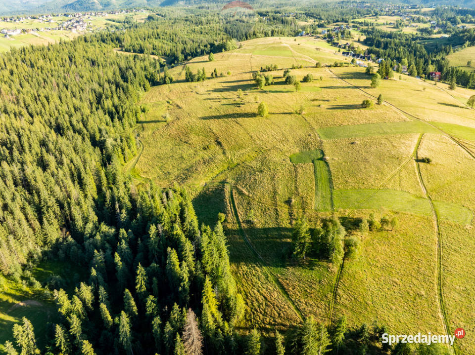 Działka rolnoleśna Zakopane 22m