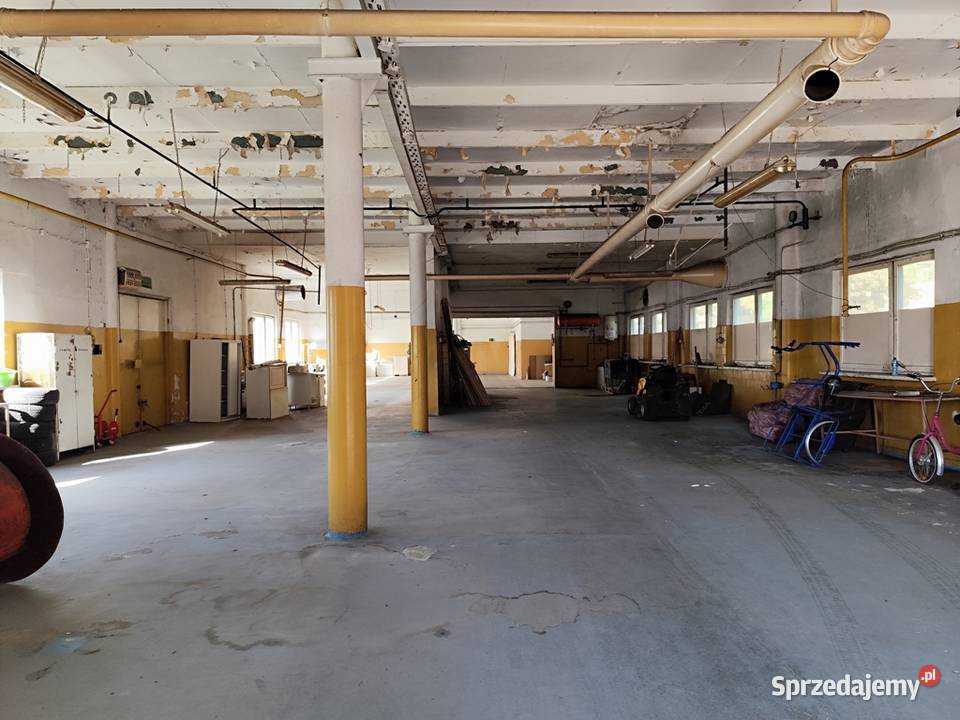 Zakład produkcyjnohandlowy PU 5000m2 IGLOOPOL Brzesko