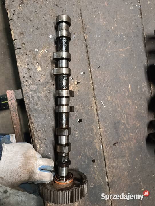 Koło zębate z wałkiem rozrządu 90411776 Zafira Terpentyna
