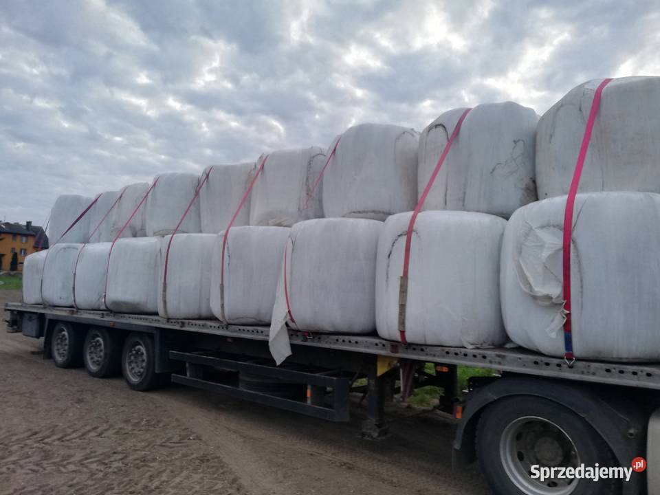 Słoma siano Sianokiszonka Bele 130 Zapewniam Przasnysz