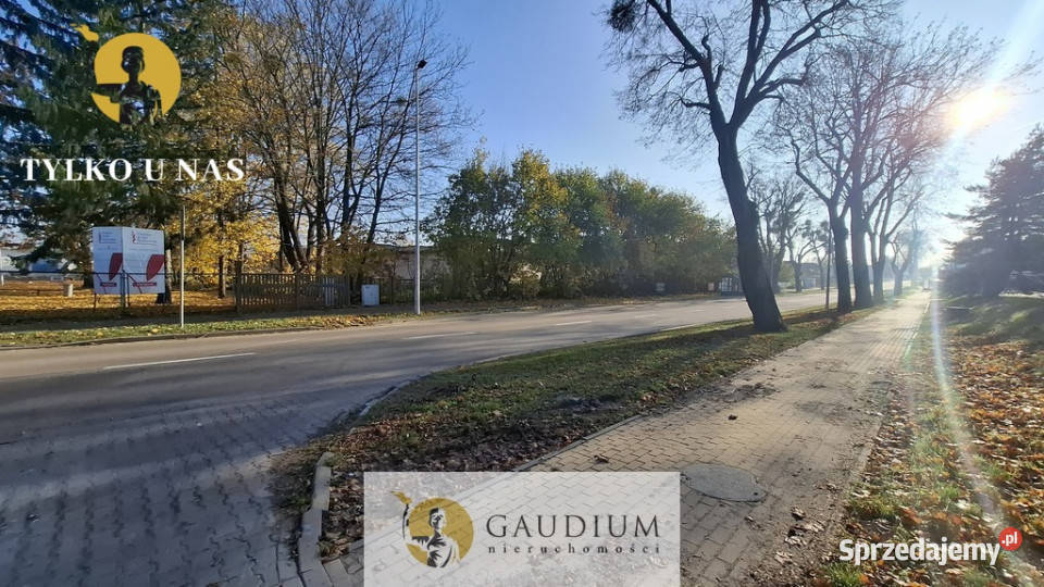 wynajmu lokalu 12m Tczew sprzedam