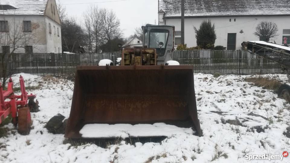 Fadroma ŁK1 polska Świdnica