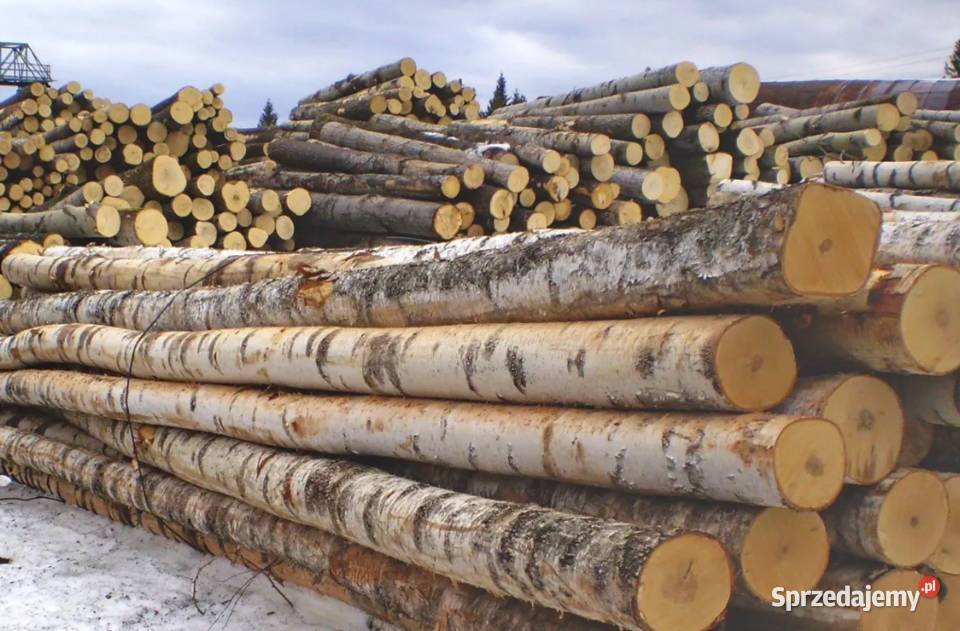 i tanie drewno opałowe Blachownia i śląskie