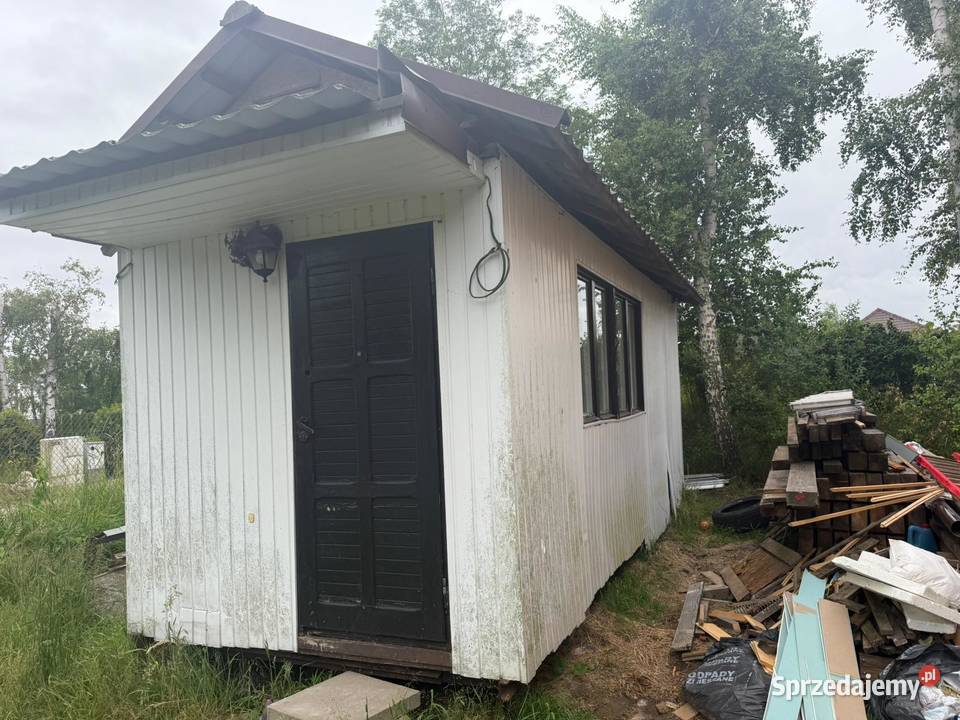 Barak holenderka pomorskie Warszawa