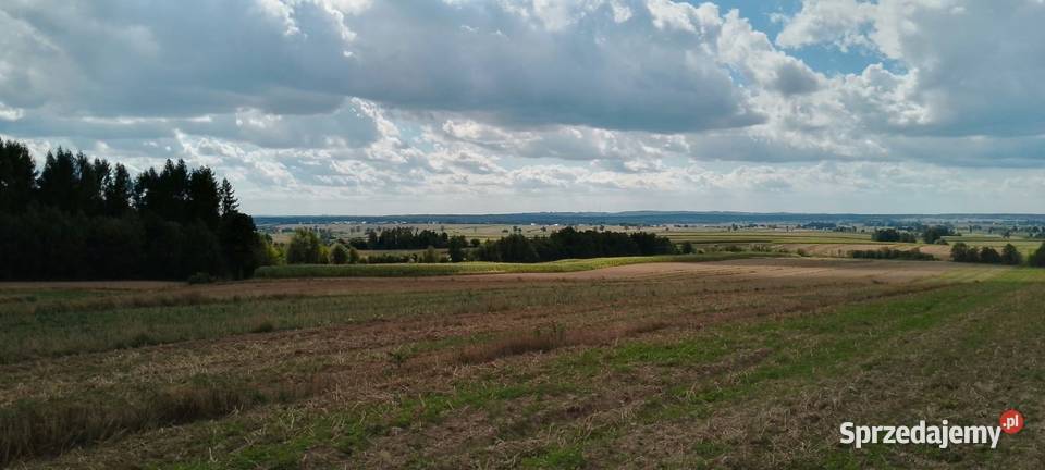 Sprzedam działkę rolnoleśną
