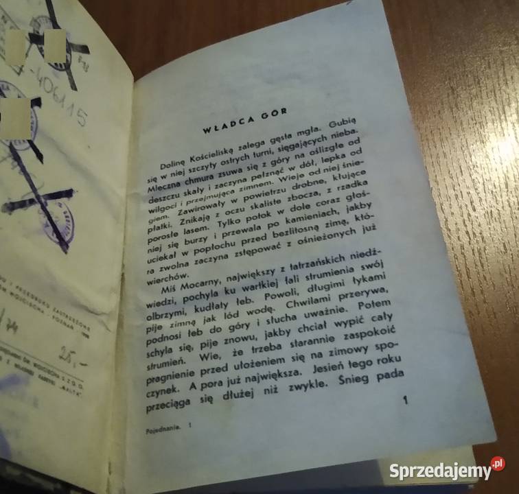Pojednanie powieść o niedźwiedziu tatrzańskim Rok wydania 1938 Gdańsk sprzedam