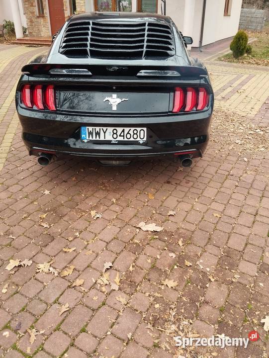 Ford Mustang 37 ogranicznik prędkości Wyszków