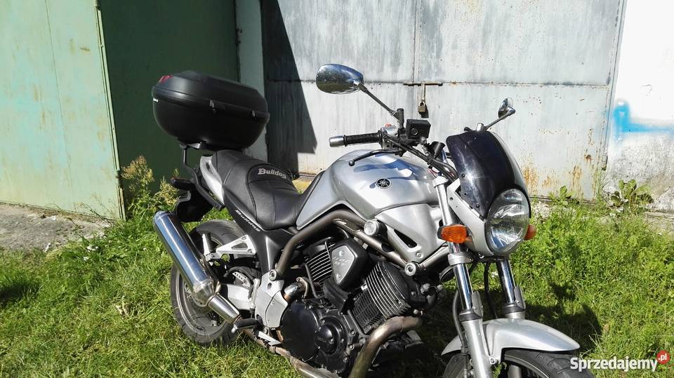 Yamaha bulldog BT 1100 warmińsko-mazurskie Pisz