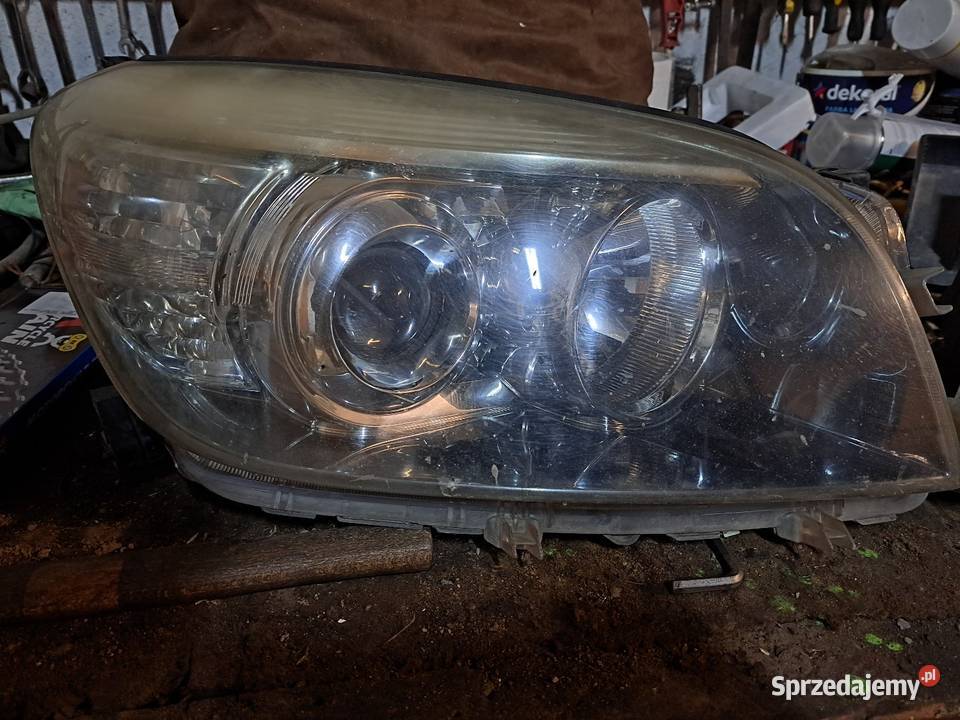 Lampy przód Rav4 osobowe Tolniki Wielkie