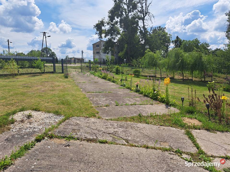 Działka las jezioro Gubławki warmińsko-mazurskie