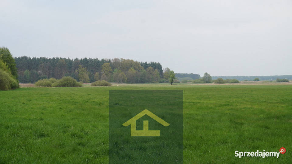 Nieruchomość w Całowaniu mazowieckie