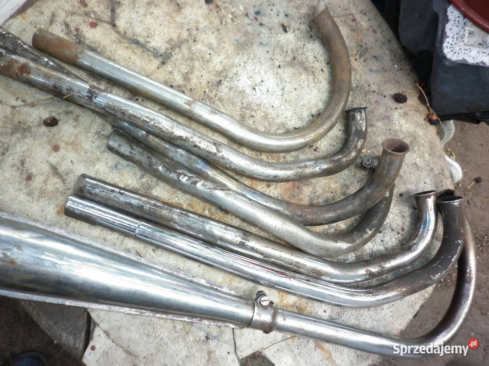 komar ogar jawka kolanko tłumnik Pogorzela