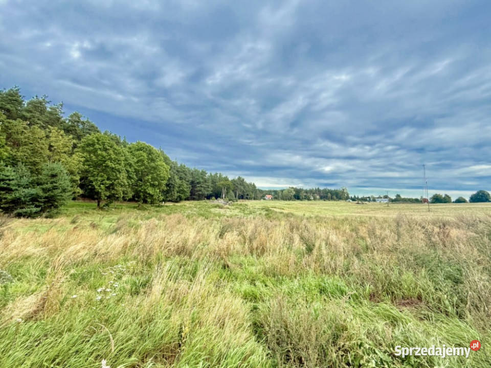 Duża działka 6000 m w Demlinie spokój natura i Demlin