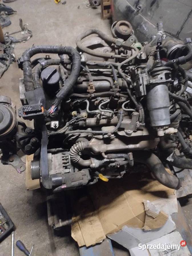 Silnik 14 D4D 1NP72L Toyota Yaris II Film z osobowe warmińsko-mazurskie Elbląg