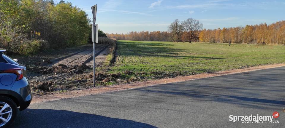 Działka rolnobudowlana 15000m 400m mazowieckie Kożuszki-Parcel