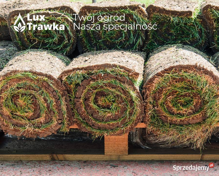 Trawa w rolce Trawa z rolki DOSTAWA MAŁOPOLSKA Nowy Targ