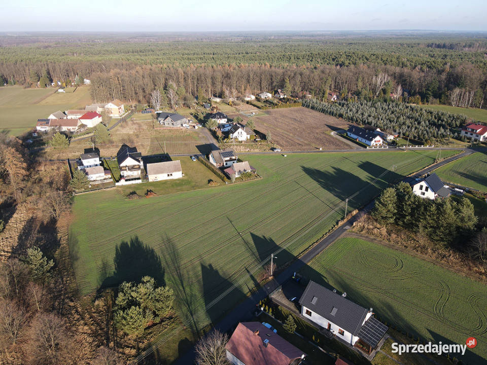 Duża działka budowlana 9051 m Turawa Marszałki budowlana sprzedam