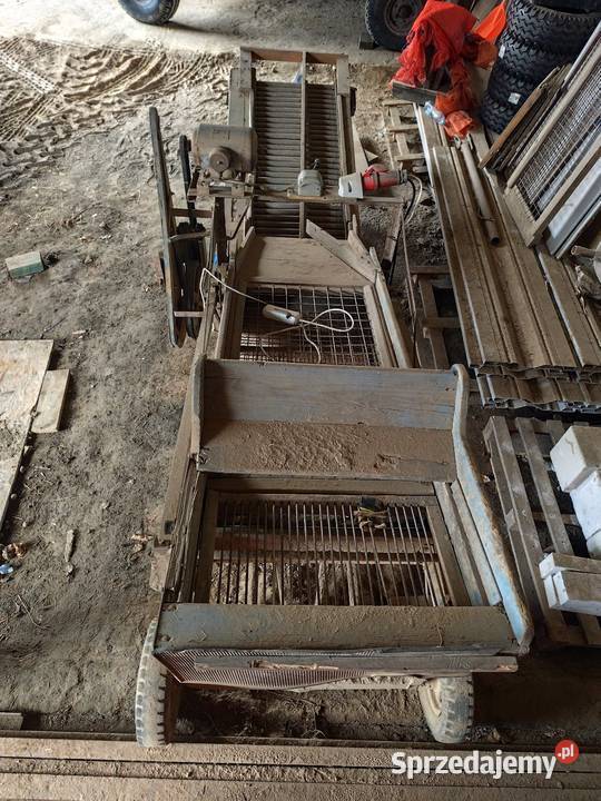 Sortownik ziemniaków Lublin