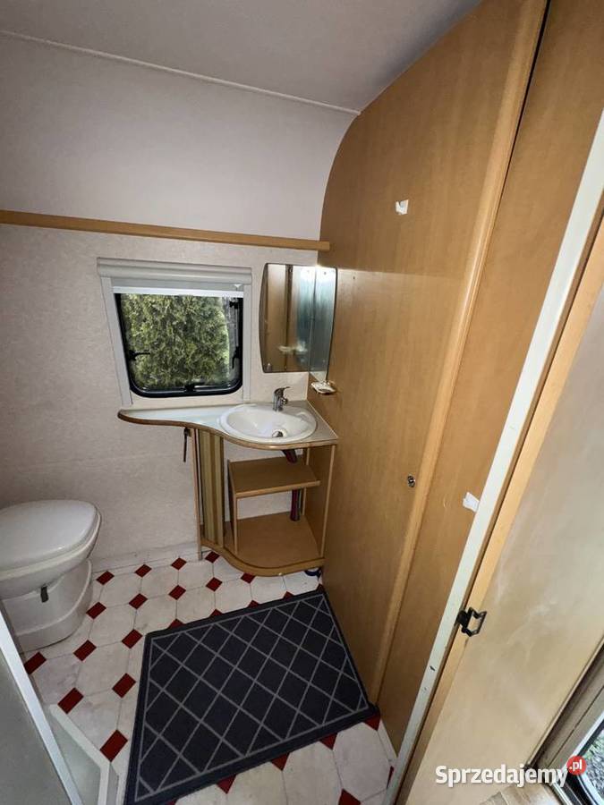 BAILEY Pageant Monarch Zarejestrowana DMC1202