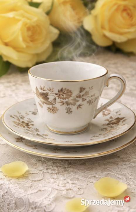 Colclough Made in England Filiżanka ze spodkiem Pabianice