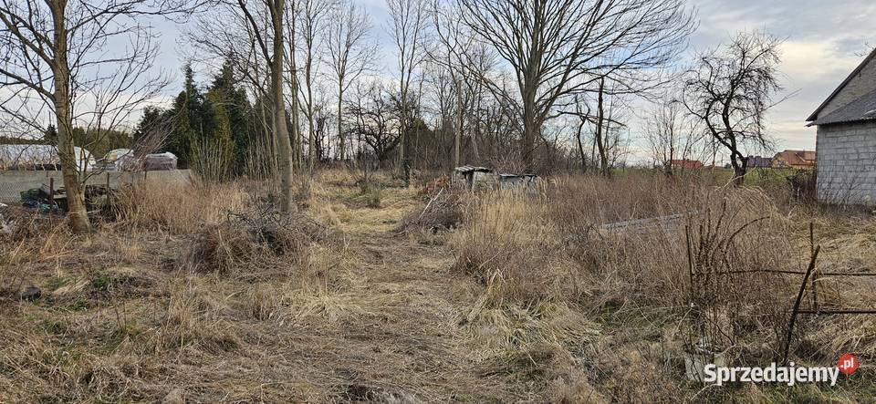 Budynek mieszkalny jednorodzinny Sprzedaż