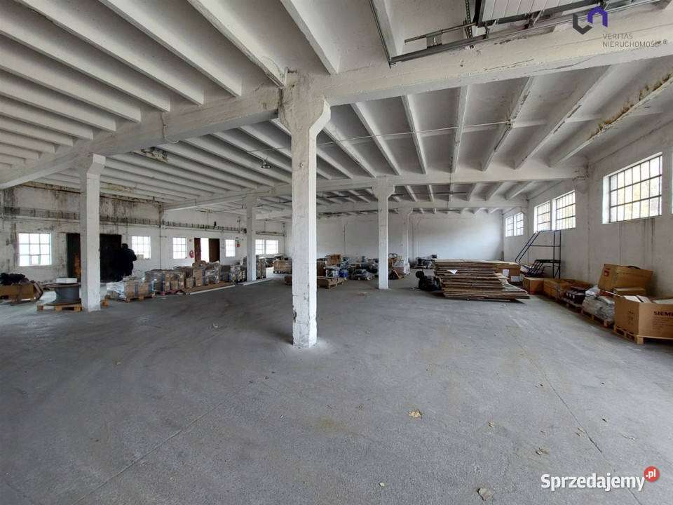 Lokal Katowice 423m2