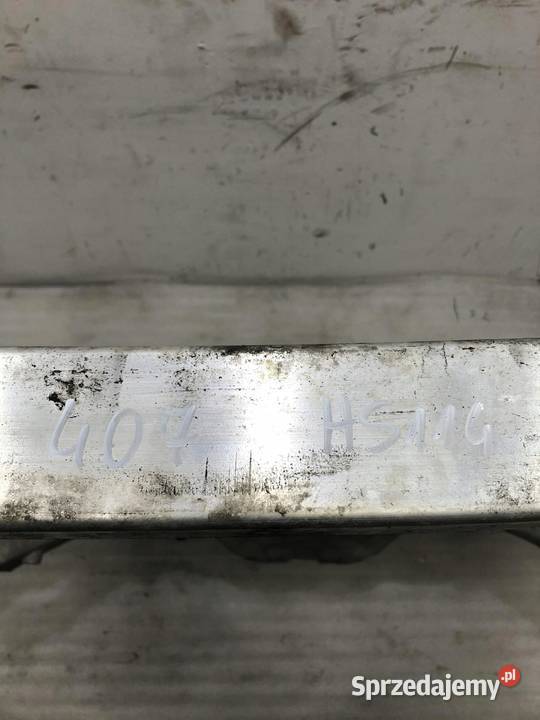 SANKI WÓZEK PRZÓD PEUGEOT 407 9650769910 wielkopolskie